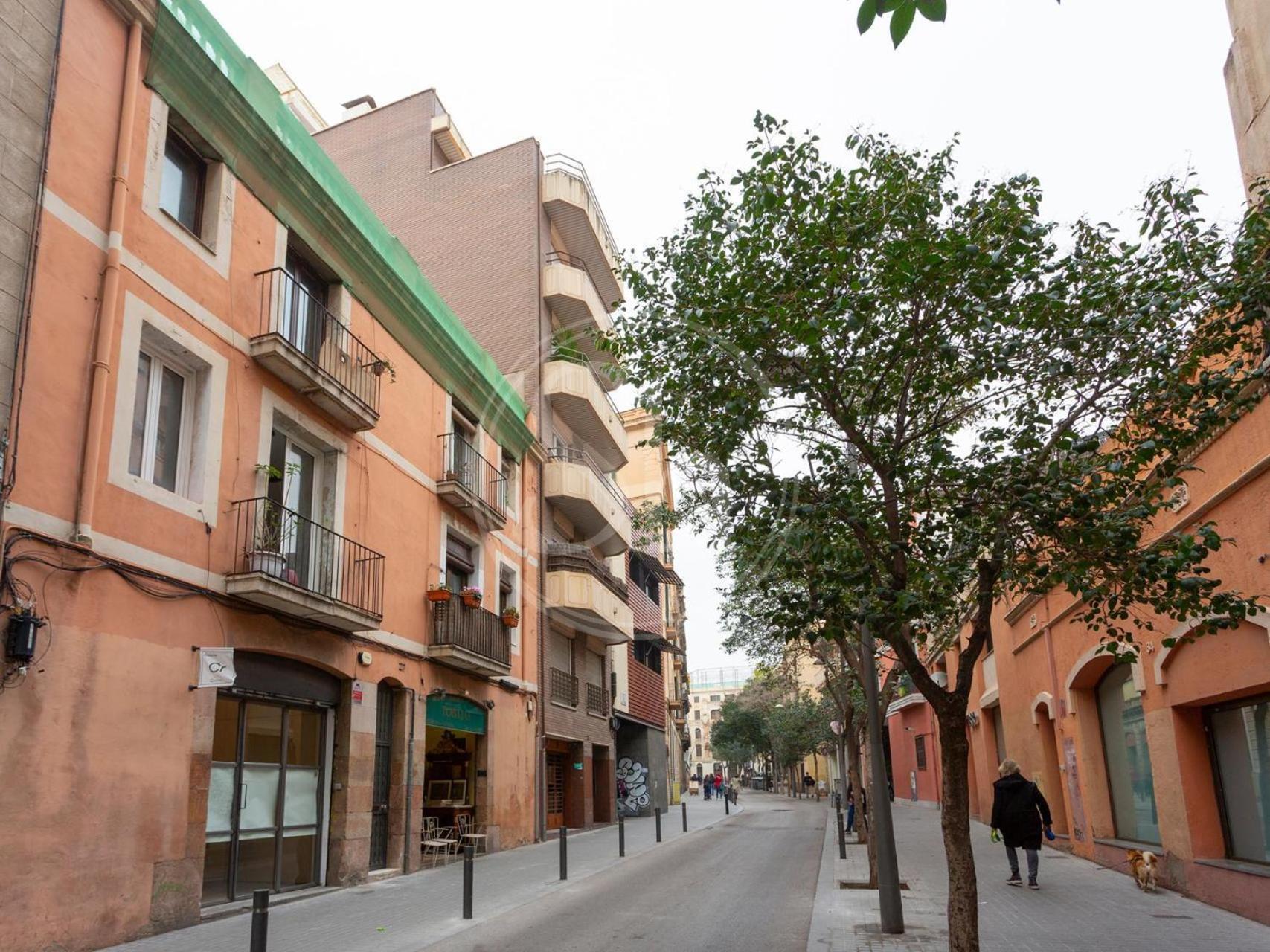 Leilighet Bonito En Gracia *